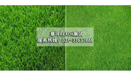 草坪REACH測試