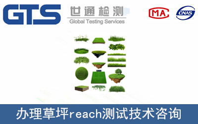 ��ƺreach�y(c��)ԇ