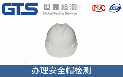 ��ȫñ�z�y(c��)