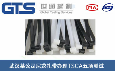 ����?ji��n)���TSCA���(xi��ng)�y(c��)ԇ