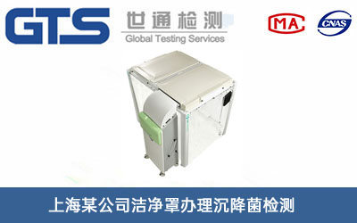 �����ֳ������z�y(c��)