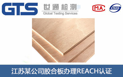 �z�ϰ�REACH�J�C