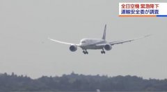 <b>托運(yùn)人-最終在成田機(jī)場(chǎng)成功著陸</b>