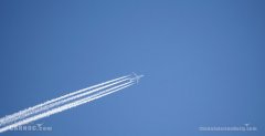 日本空運(yùn)-中國(guó)飛加拿大航班發(fā)現(xiàn)乘客疑似麻疹 官方回應(yīng)