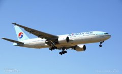 韓媒:大韓航空企圖掩蓋機(jī)長(zhǎng)飛行中要求喝酒一事-空運(yùn)價(jià)格