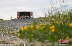 MH17航班失事5周年 澳大利亞外長悼念澳遇難者-廣州出口國際快遞