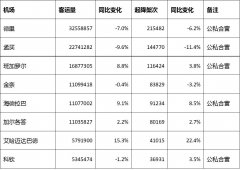 2019上半年印度機(jī)場(chǎng)客運(yùn)量數(shù)據(jù)與發(fā)展簡(jiǎn)述-阿曼的空運(yùn)