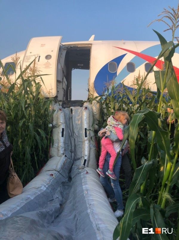 視頻：俄迫降客機撞鳥瞬間 戰(zhàn)斗民族的“薩利機長”-海運價格