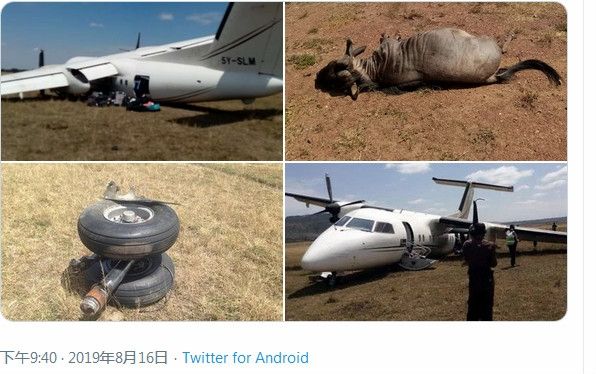 肯尼亞一架飛機(jī)降落時與角馬相撞，機(jī)上乘客均未受傷-海運費在線查詢