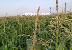 俄羅斯硬核機長把飛機硬著陸玉米地，拯救了整飛機的人！機組成員獲授國家榮