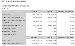 深圳機場上半年利潤凈利潤3.08億元，同比減少16.7%-阿聯(lián)酋的國際快遞