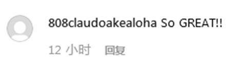 一匹小馬“坐”飛機(jī) 網(wǎng)友調(diào)侃：給它上杯咖啡吧！-香港國(guó)際快遞