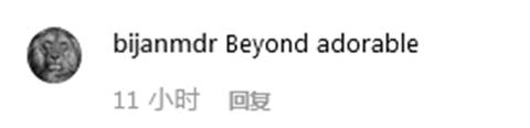 一匹小馬“坐”飛機(jī) 網(wǎng)友調(diào)侃：給它上杯咖啡吧！-香港國(guó)際快遞