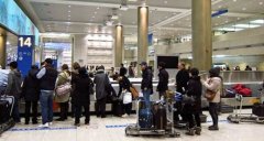 去機場坐飛機你最擔心什么？調(diào)查顯示為取行李-空運價格