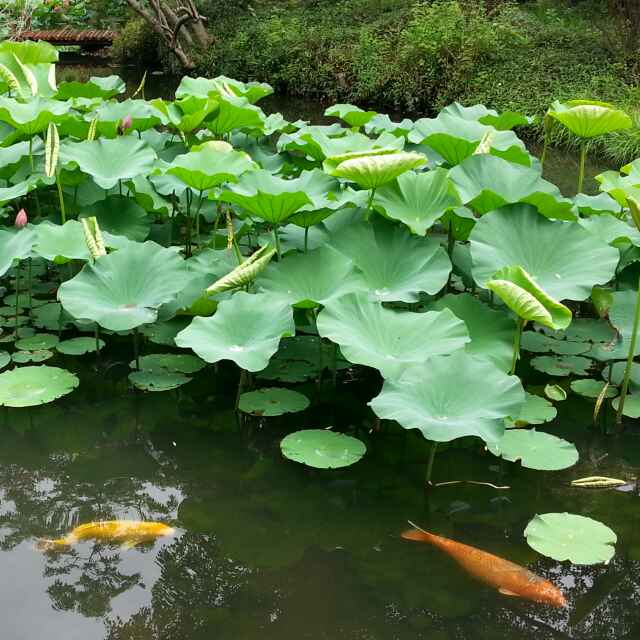 航企營銷服務(wù)戰(zhàn)略、九維空間模型規(guī)劃及其信息化建設(shè)導(dǎo)向研究-深圳出口空運(yùn)