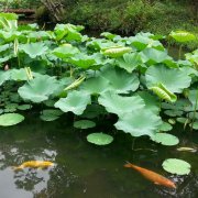 航企營銷服務戰(zhàn)略、九維空間模型規(guī)劃及其信息化建設導向研究-深圳出口空運