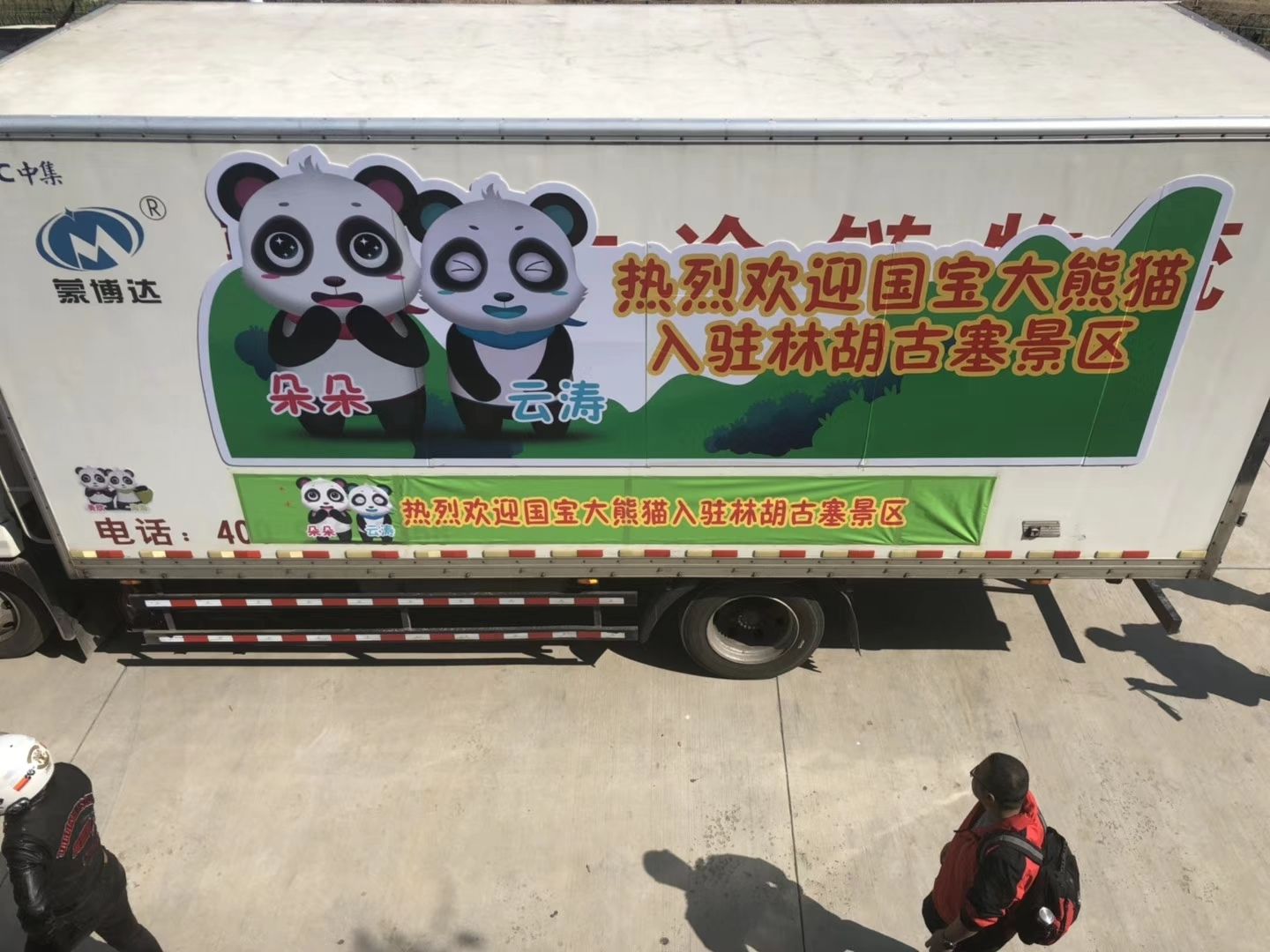 內(nèi)蒙古民航地服公司貨運(yùn)部?jī)A情保障國(guó)寶大熊貓抵呼