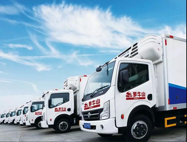 椰海大道延長(zhǎng)線全面通車(chē)助力羅牛山冷鏈物流更快更“鮮”