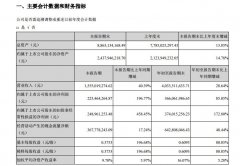 沙特阿拉伯的空運-華夏航空第三季度凈利2.25億元 同比增長196.77%