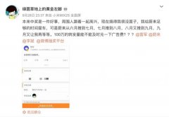 南美國際國際快遞-雷軍微博抽獎送蔚來汽車 中獎用戶等9個月仍未兌現(xiàn)-平新物