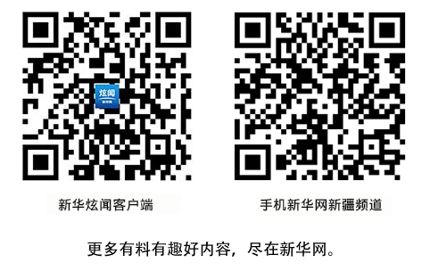 “有機(jī)”換生機(jī)，新疆沙漠小縣破題紅棗“賣(mài)難”-上海大眾物流公司 