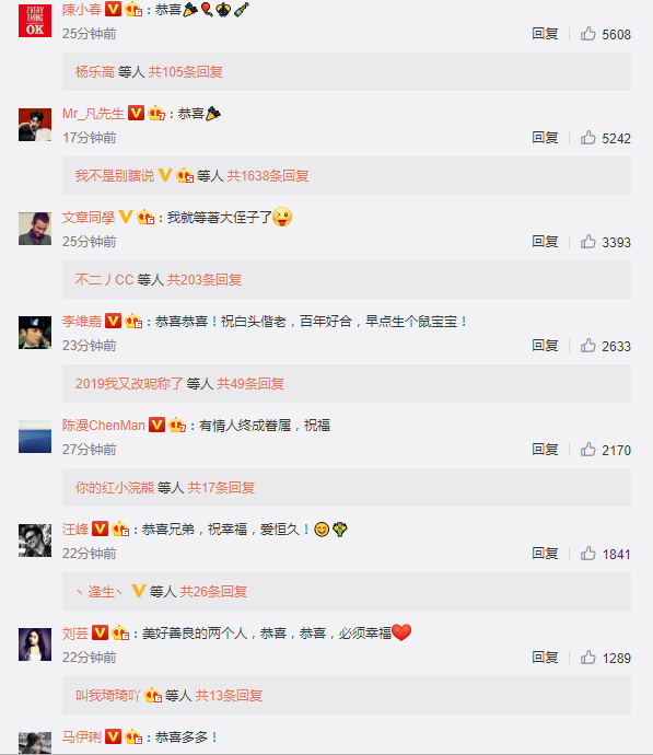 向佐郭碧婷甜蜜完婚 文章馬伊P在評論中送祝福-塔城物流 