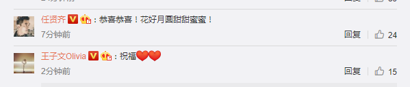 向佐郭碧婷甜蜜完婚 文章馬伊P在評論中送祝福-塔城物流 