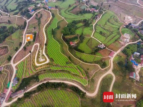 瞄準(zhǔn)國(guó)家級(jí)現(xiàn)代農(nóng)業(yè)產(chǎn)業(yè)園區(qū)資陽(yáng)萬(wàn)畝佛山橘海將“大變臉”