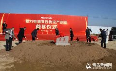 哈薩克斯坦的國(guó)際快遞-投資27.5億占地500畝 格力要在萊西建物流產(chǎn)業(yè)園
