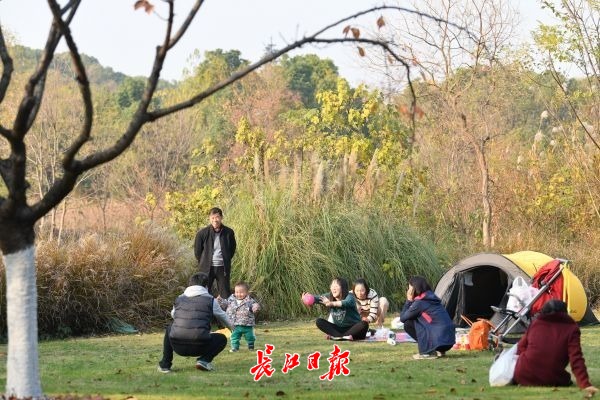 未來三天武漢單曲循環(huán)“小晴歌”，物流資源 ，出游正當(dāng)時