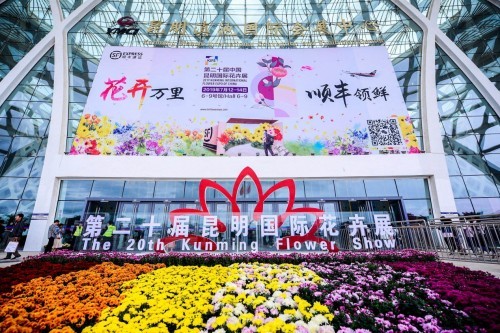 以色列空運(yùn)-鮮花“十二時(shí)辰” 看順豐助力“云花”出滇