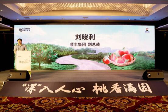 海運價格-順豐全面升級“深州蜜桃&鮮桃寄遞”服務(wù)，為您傳遞“桃”不掉的新鮮