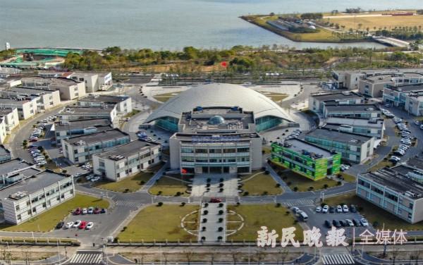 國際快遞查詢-上海海事法院制定《實施意見》服務保新片區(qū)建設