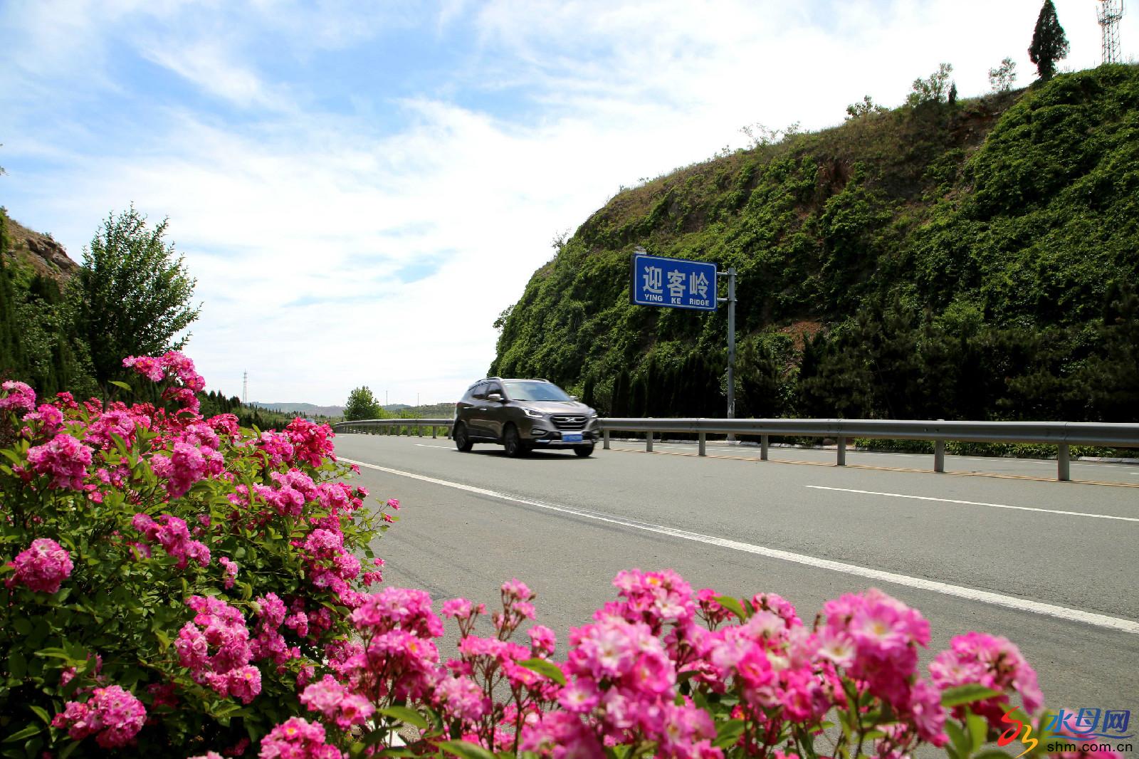 2-暢安舒美海陽路 (3).JPG