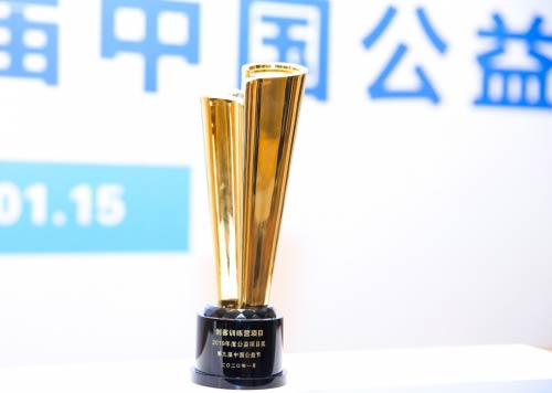 日日順物流榮獲“2019年度公益項(xiàng)目獎(jiǎng)” 為行業(yè)發(fā)展注入新動(dòng)能