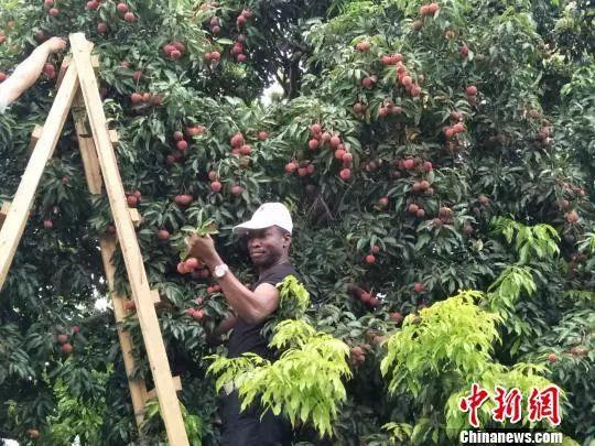 世界工廠、籃球城市……東莞，其實也沒什么