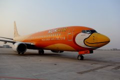 海運(yùn)報(bào)價(jià)-合肥新橋機(jī)場境外航空公司境外航班陸續(xù)取消
