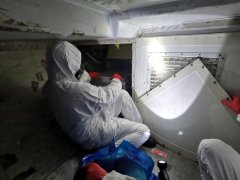 迪拜空運-廈航專家釋疑：疫情之下返工，坐飛機安全嗎？