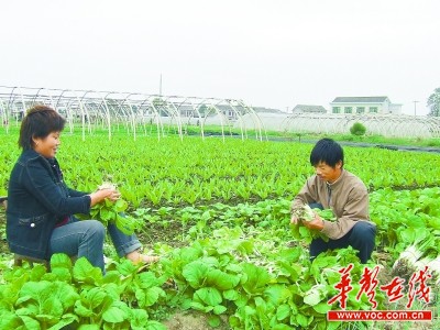 長沙國際會展中心選址黃興鎮(zhèn) 污染之鄉(xiāng)轉(zhuǎn)型/圖