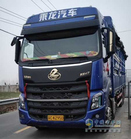 約旦的空運(yùn)價(jià)格-就算需要隔離過(guò)不了節(jié)，那又有什么大不了呢？