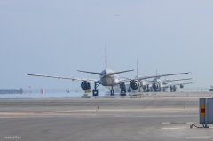 空運(yùn)價(jià)格-卡塔爾航空?qǐng)?zhí)行貨運(yùn)包機(jī)任務(wù) 免費(fèi)承運(yùn)醫(yī)療物資馳援中國(guó)