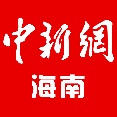 洋浦港海關快速驗放進口木片助力企業(yè)順利復工復產(chǎn)