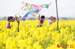 紐約國(guó)際空運(yùn)-物流網(wǎng)絡(luò)——科學(xué)調(diào)度不誤生產(chǎn)