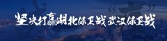 寧波海運漢口北率先恢復通達全省物流專線，首日發(fā)貨5000件