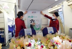 哈薩克斯坦空運(yùn)最大規(guī)模！中國民航51架包機(jī)接7000余名援鄂醫(yī)護(hù)人員回家