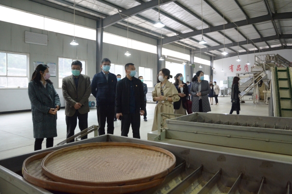 上海貨運(yùn)-讓春茶飛起來——三峽機(jī)場(chǎng)與五峰縣政府開啟扶貧助企戰(zhàn)略合作