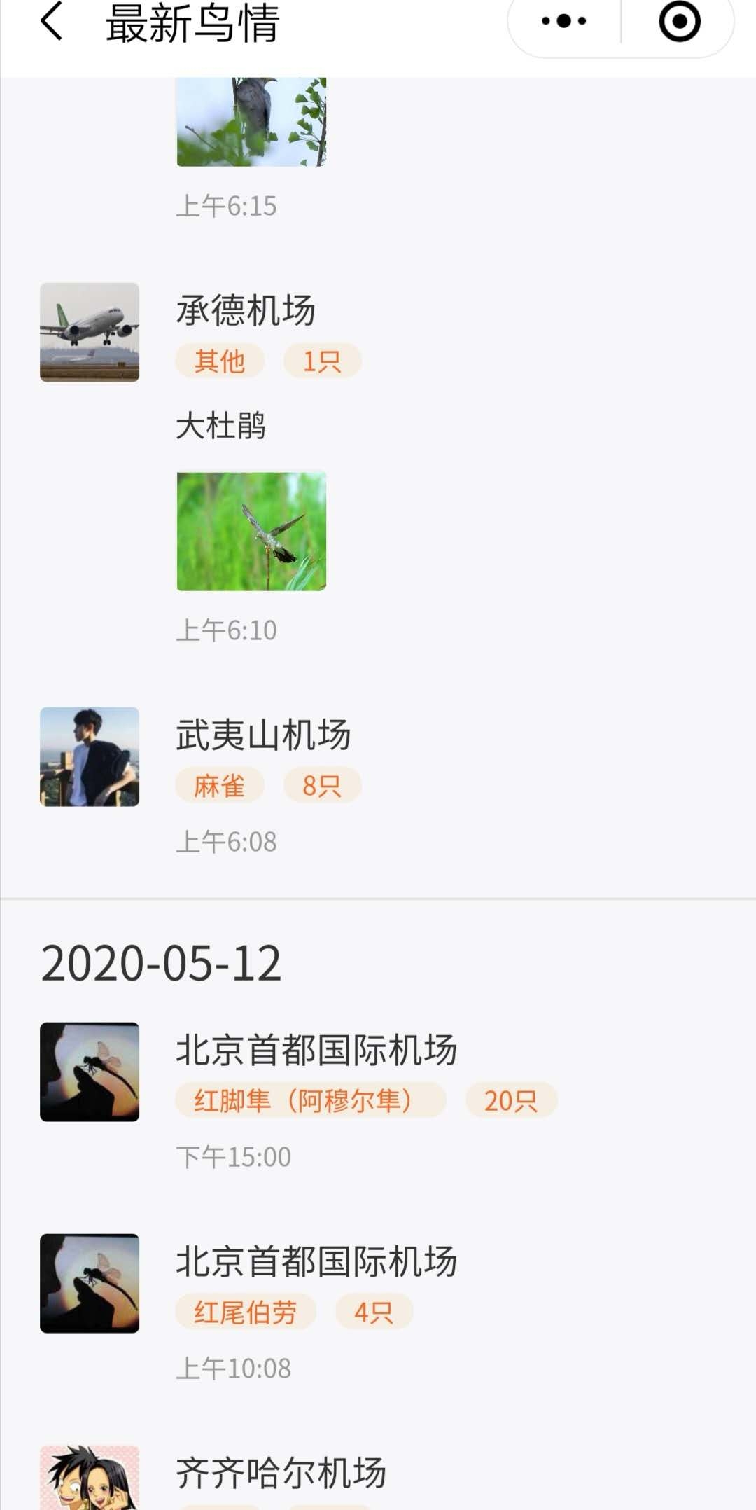 在“最新鳥情”欄目中，各地機場發(fā)布鳥情“朋友圈”?！傍B情共享平臺”小程序截圖