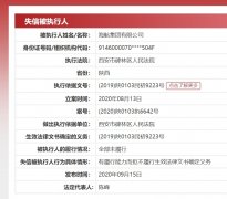 西安市碑林區(qū)人民法院發(fā)出限制消費(fèi)令
-國際快遞價格