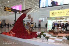 將執(zhí)行航班604架次
-上?？者\報價