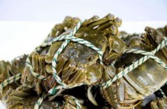 大幅度降低了商戶們的時間成本及配送成本
-索卡那海運(yùn)費(fèi)